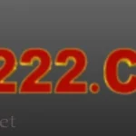 DK222 Game
