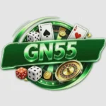 GN55 Game