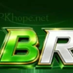 BBRS Game