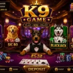 K9 Game