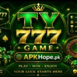 TY 777 Game