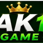 Pak14 Game