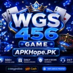 WGS 456 Game