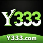 Y333 Game