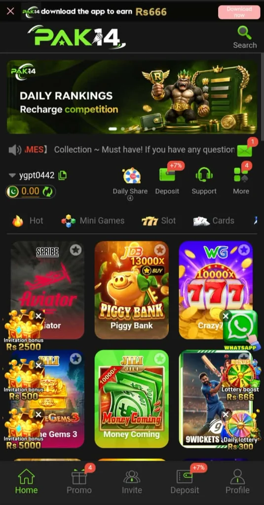 Pak14 Game
